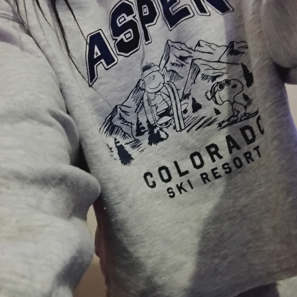 Aeropostale Heather Gray Cropped Pants